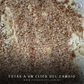 WHEY - Proteina Suero de Leche Hidrolizada CHOCOLATE AVELLANA