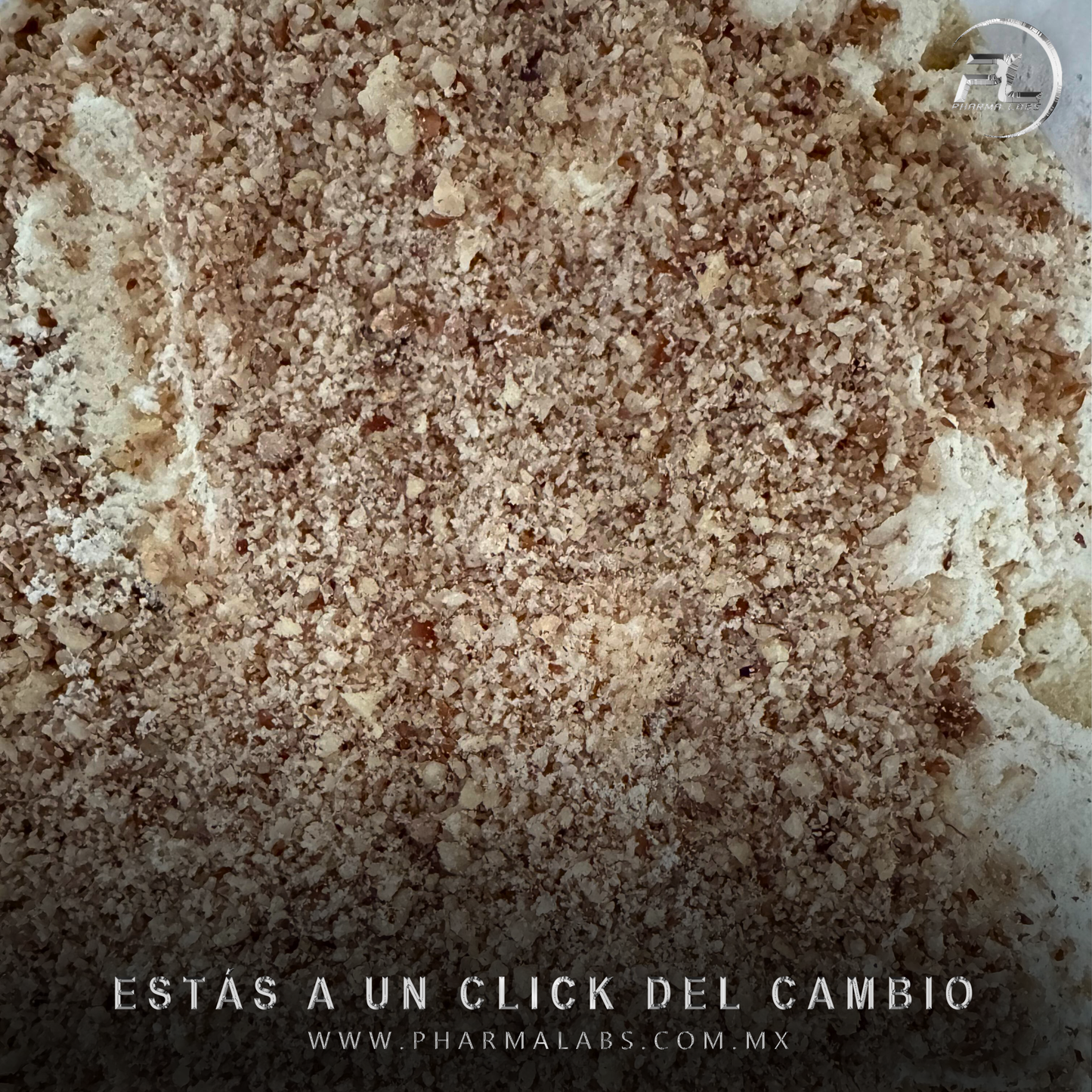 WHEY - Proteina Suero de Leche Hidrolizada CHOCOLATE AVELLANA